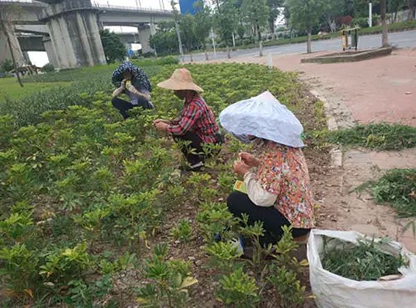 耀世注册总代理太阳